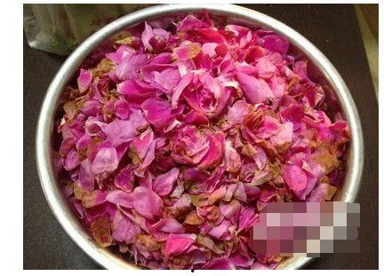 娱乐吃瓜酱带刺的玫瑰